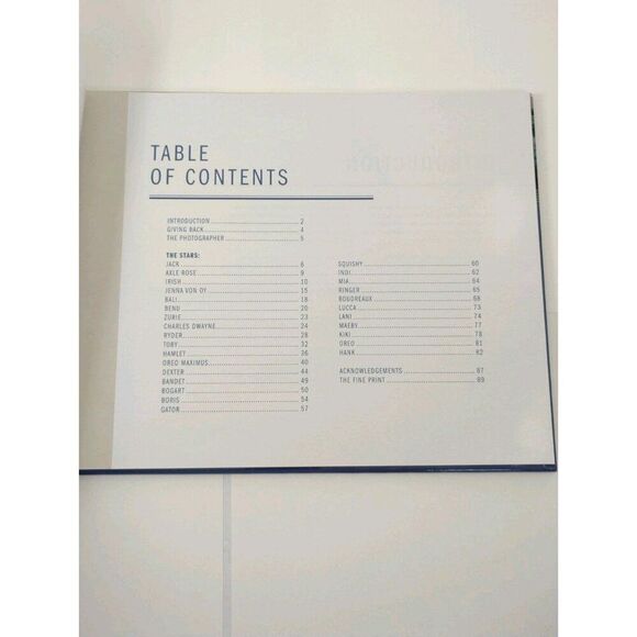 Tails Of The Sun Coast Dog Tog Pet Photography Book - Picture 5 of 16